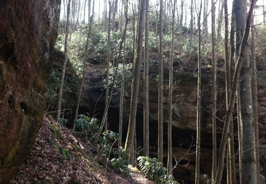 Martins Fork - 1